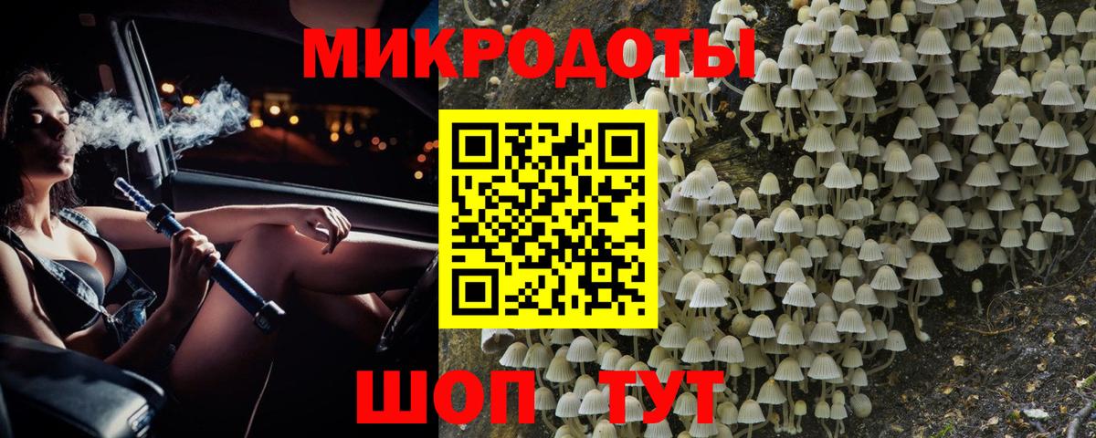Галлюциногенные грибы Cubensis Кострома