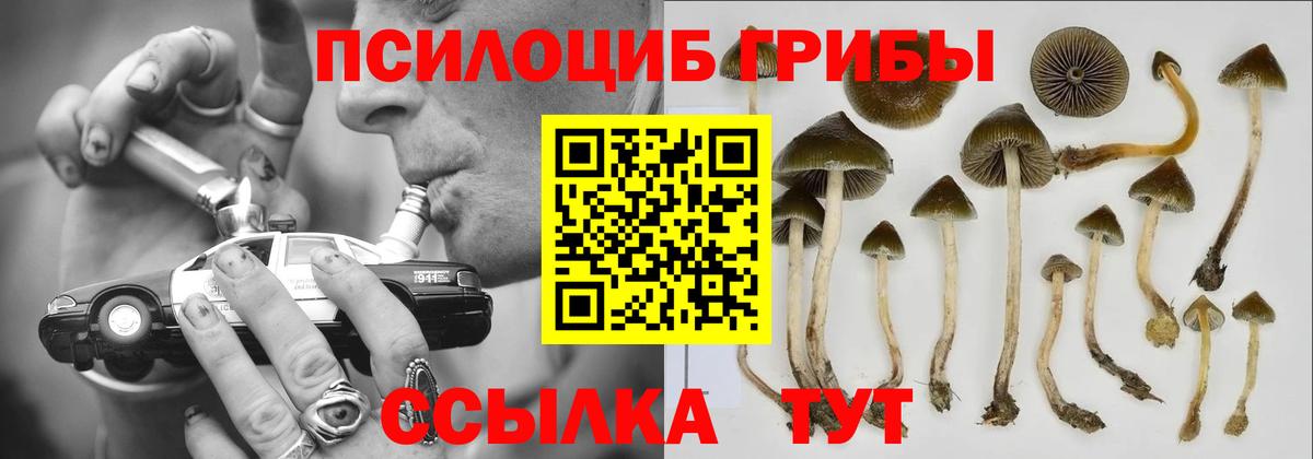 Псилоцибиновые грибы Psilocybe  Псилоцибиновые грибы Cubensis  Кострома  Вход с VPN 
